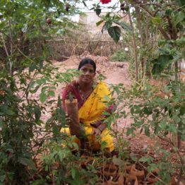 Anusuyamma runs a tree planting project involving women in 28 villages.