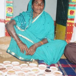 Seedkeeper Anjamma made the deserts bloom by taking microcredit loans for organic farming. She belongs to the Deccan Development Society (DDS) with 5,000 Dalit (untouchable caste) women.